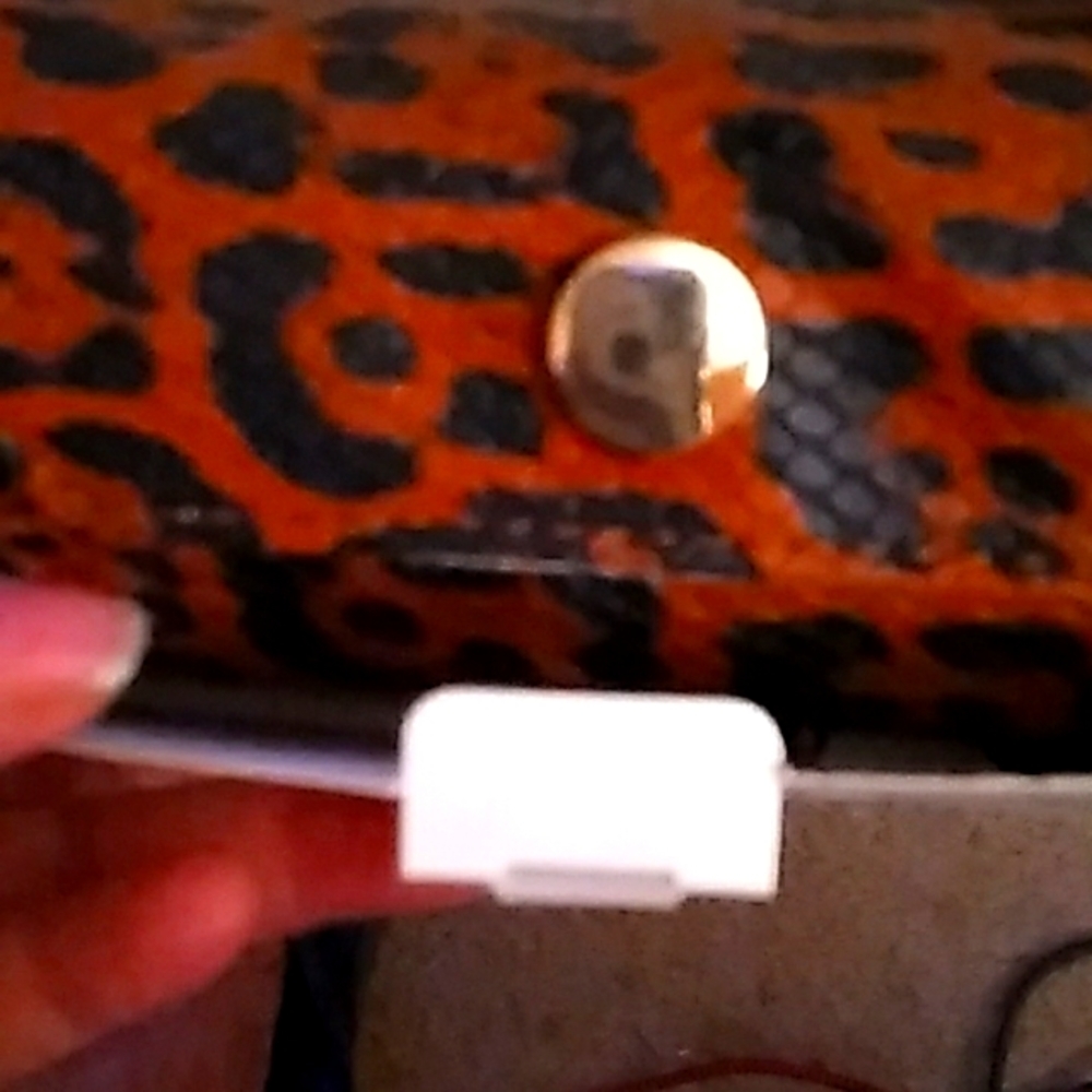 Leopard Jewelry case
